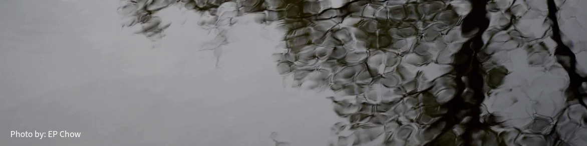 Reflections on Water Site Header (1).jpeg