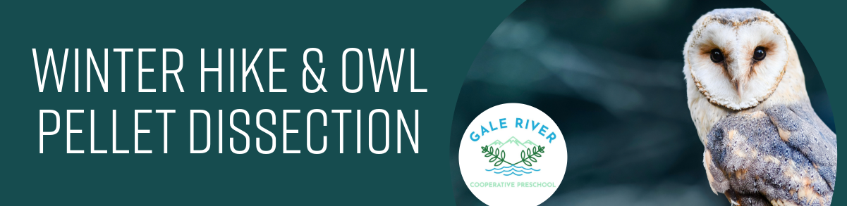 Winter Hike and Owl Pellet Dissection with GRCP