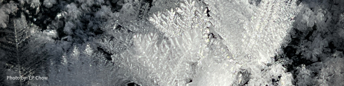 FEB Reflections on Water Site Header.png