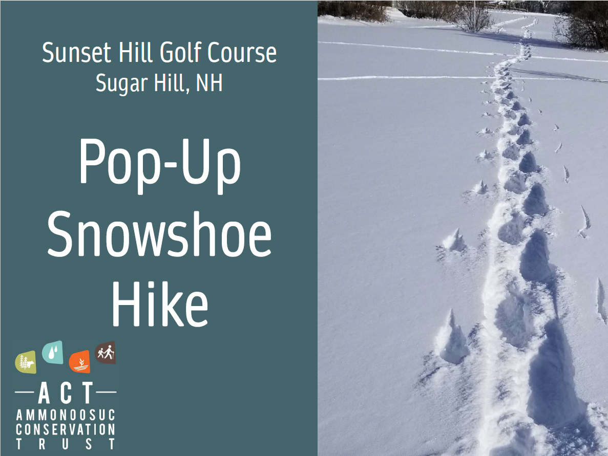 Pop-Up Snowshoe Hike