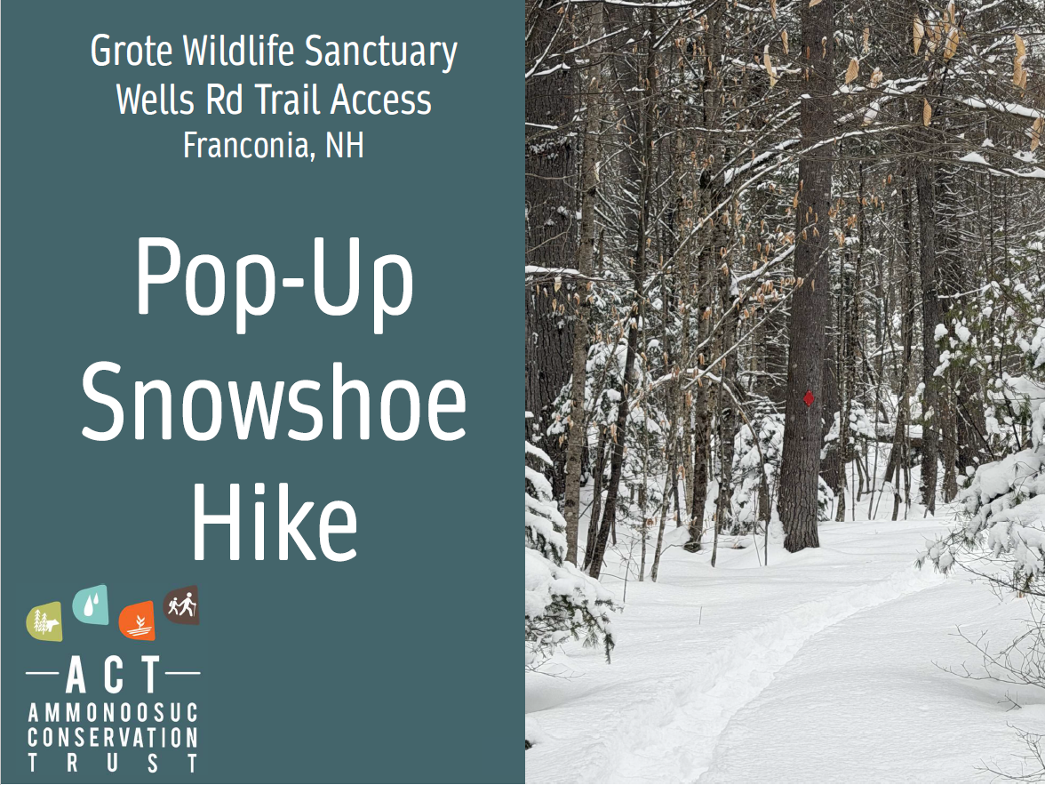 Pop-Up Snowshoe Hike