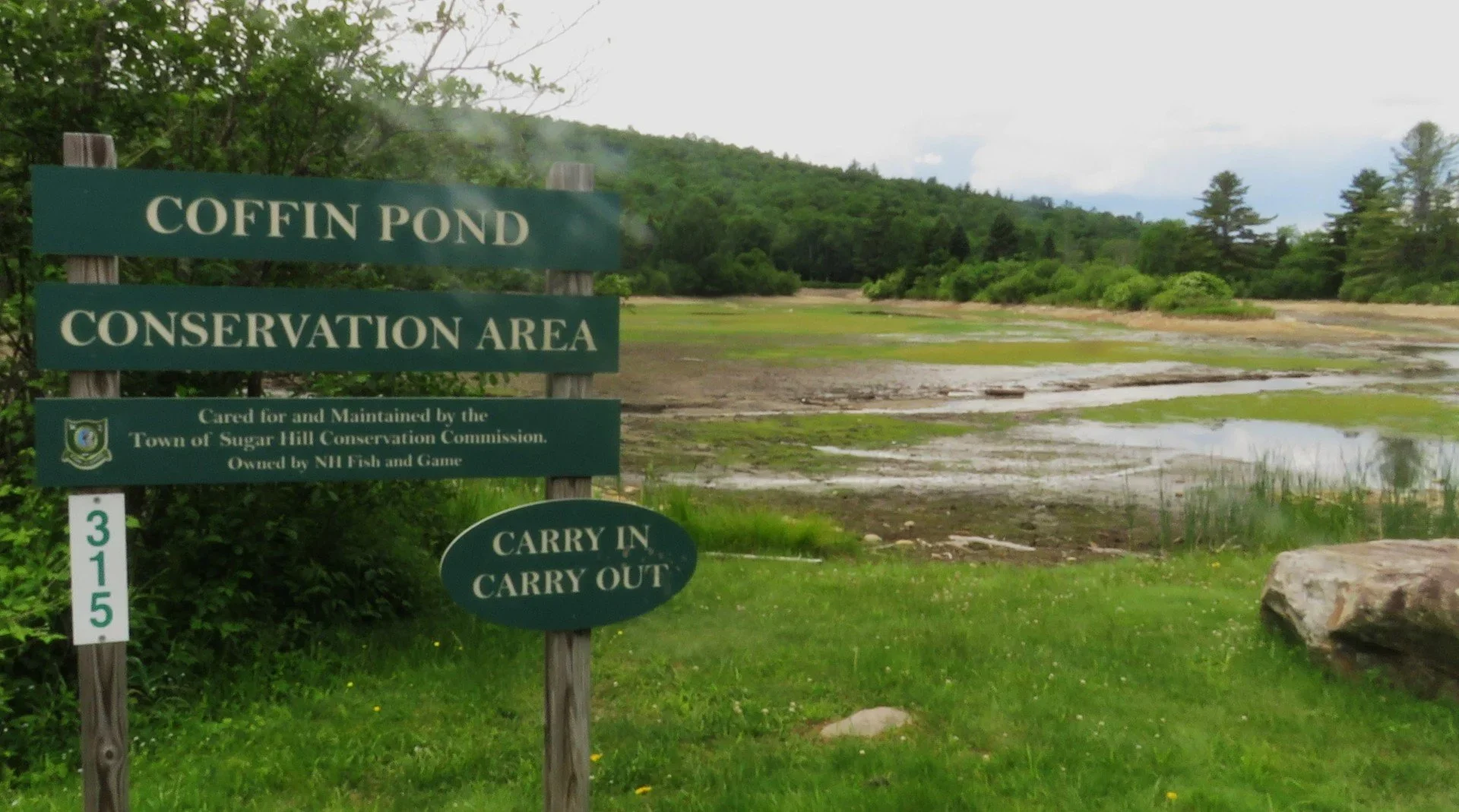 Phenological Phacts and Photos: Coffin Pond – Down the Drain!?! by Carl D. Martland