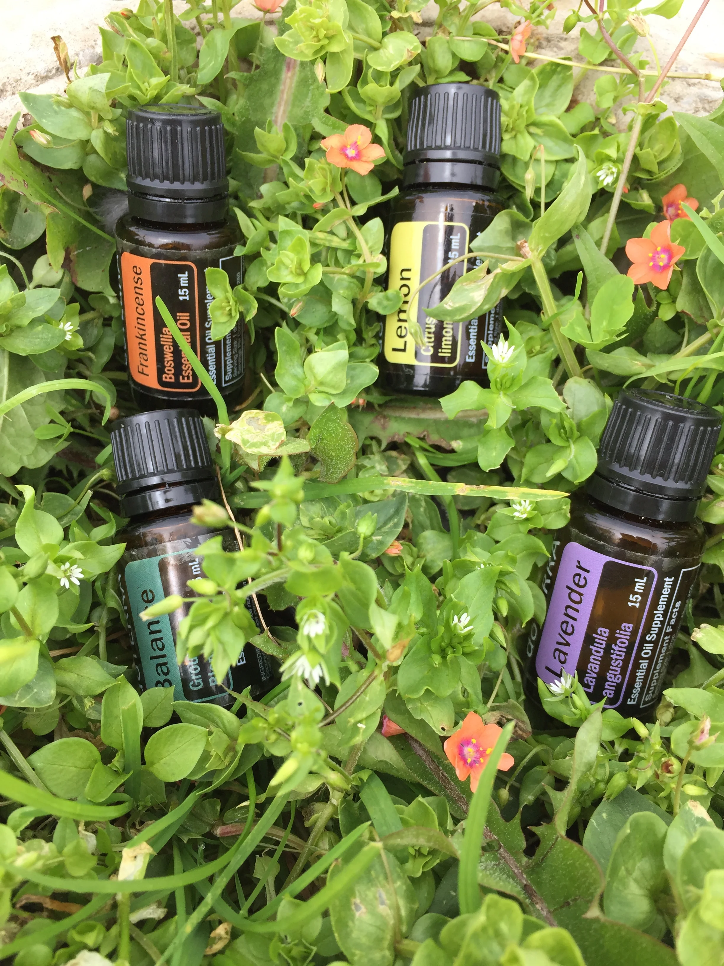Essential Oils Can Make A Difference 