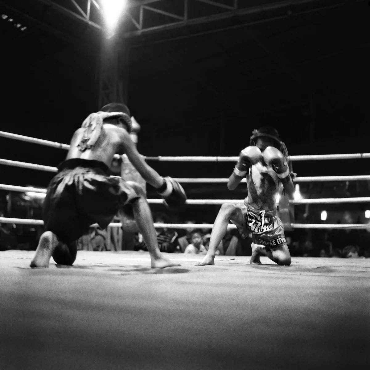 03.jpg