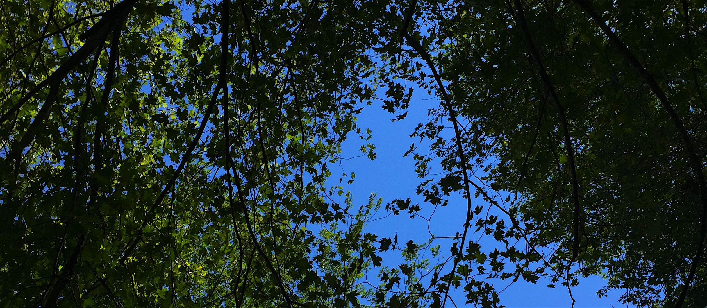 'Hidden thoughts avoiding light'