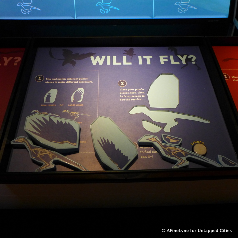 Will-It-Fly-American-Museum-of-Natural-History-Untapped-Cities-AFineLyne.jpg