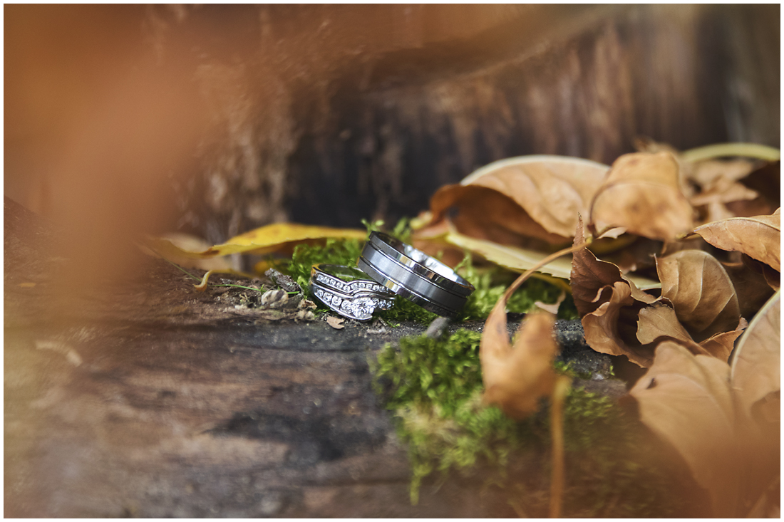 a fall ring shot of both the grooms wedding band and the bride's wedding band set surrounded by leaves and moss A stunning Fall wedding in Lethbridge Alberta - a religious church ceremony at the URC Church with stained glass windows, a quick stop at the Wooden Shoe for lunch and bridal party pictures at Indian battle park. #albertawedding #lethbridge #redwinewedding #redcolourscheme #babiesbreathboquet #indianbattlepark #woodshoe #overcastwedding #fallwedding #kissingcouple #brideandgroom #emotionalwedding #church #churchceremony