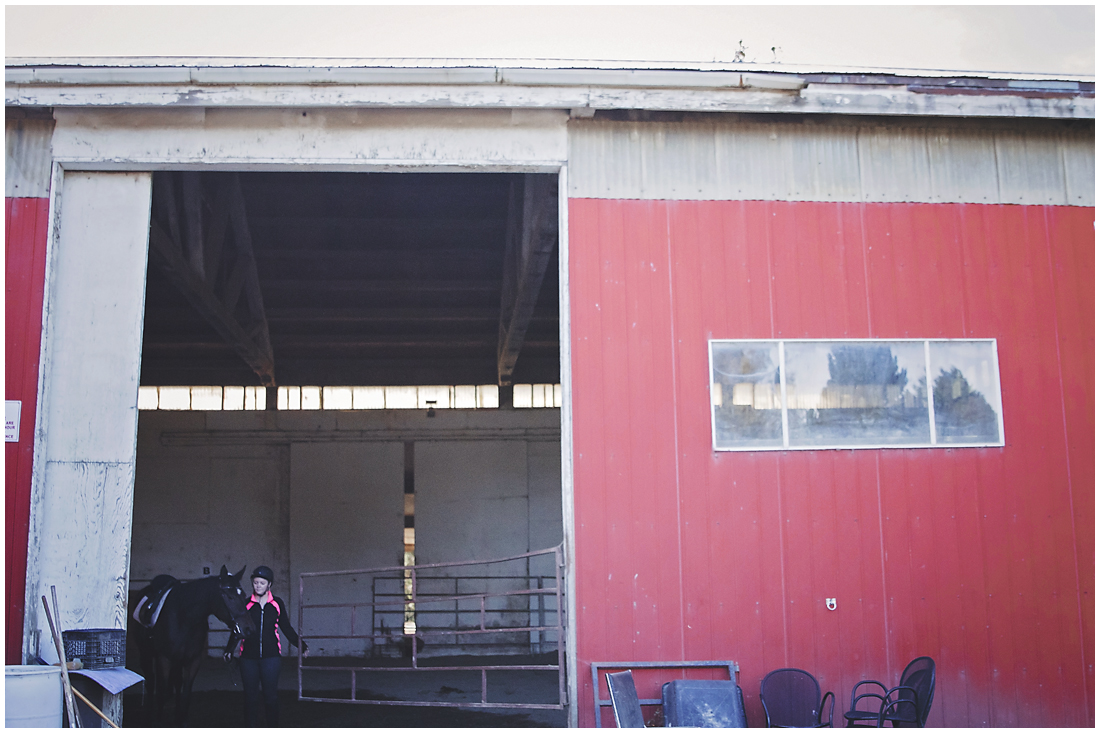 A documentary session featuring a girl, her brown horse and a red barn. #equine #equestrian #horse #fraservalleyhorse #vancouverhorses #equestrianphotography #photography #racehorse #retiredhorse #jumping #riding #barn #documentary #yvr #vancouver #redbarn #brownhorse #sparklebridle #oldbarn #brownhorsewhitespot #realhorses #abbostford #abbotsfordriding #vancouverridingA documentary session featuring a girl, her brown horse and a red barn. #equine #equestrian #horse #fraservalleyhorse #vancouverhorses #equestrianphotography #photography #racehorse #retiredhorse #jumping #riding #barn #documentary #yvr #vancouver #redbarn #brownhorse #sparklebridle #oldbarn #brownhorsewhitespot #realhorses #abbostford #abbotsfordriding #vancouverriding