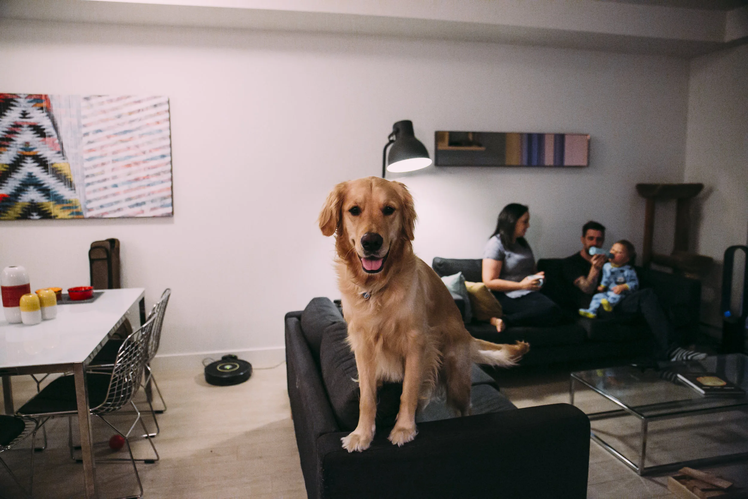 #documentary #family #inhome #lifestyle #reallife #candidmoments #motherhood #fatherhood #smallspaces #apartmentliving #dogs #goldenretriever #pets #vancouver #vancouverlifestyle #vancouverdocumentary #langley #indoors
