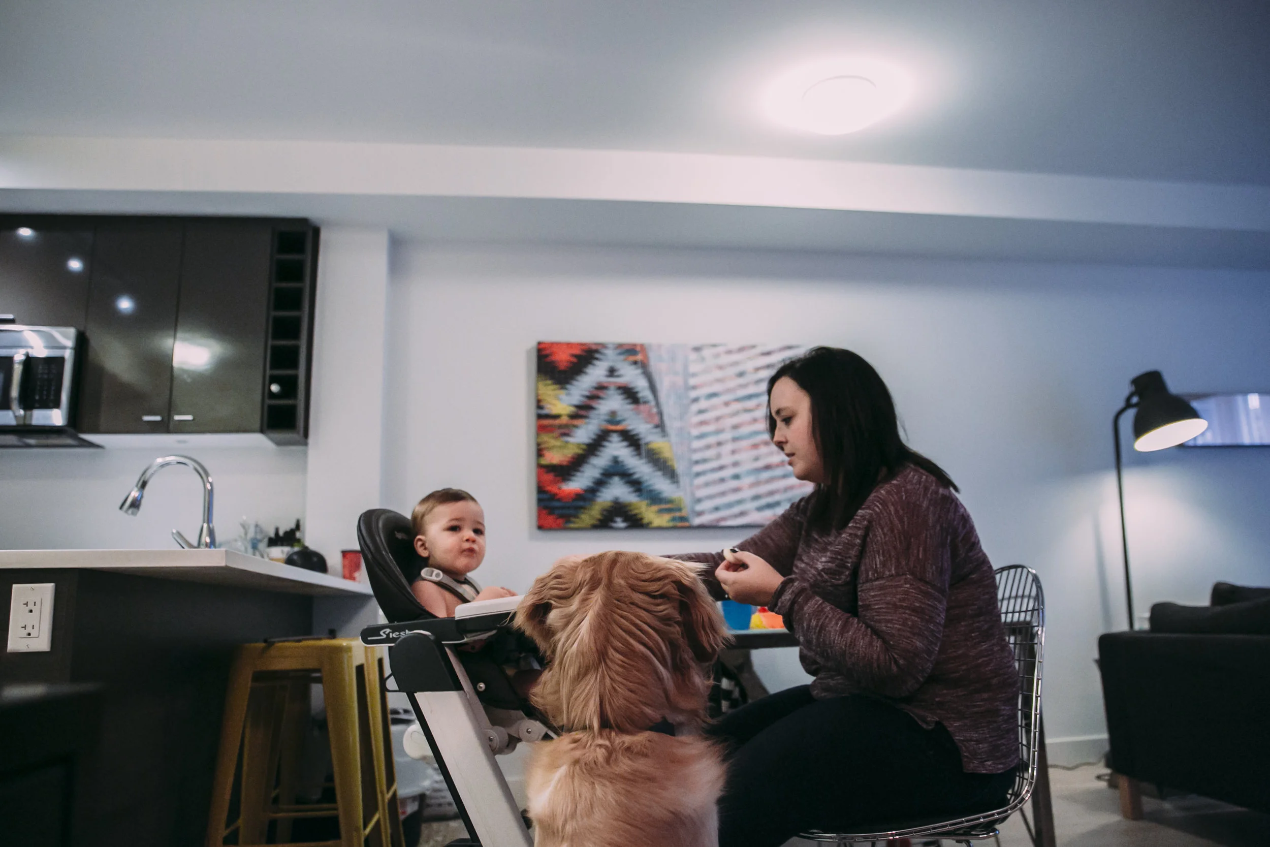 #documentary #family #inhome #lifestyle #reallife #candidmoments #motherhood #fatherhood #smallspaces #apartmentliving #dogs #goldenretriever #pets #vancouver #vancouverlifestyle #vancouverdocumentary #langley #indoors