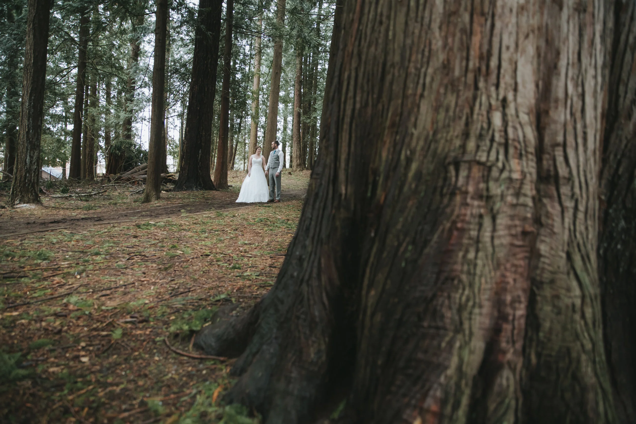 Bride and Groom behind the trees A rainy forest wedding in Lynden Washington, featuring teal blue accents, rustic details, umbrellas and a large bridal party.#rain #wedding #lynden #washington #umbrella #spring #teal #grey #brown #trees #romantic #documentarywedding #unposed #romanticposes #couple #largebridalparty Photography by Christina Voorhorst of Mimsical Photography. Do not alter, crop, edit or share these images without proper credit or permission. www.mimsicalphotography.com 