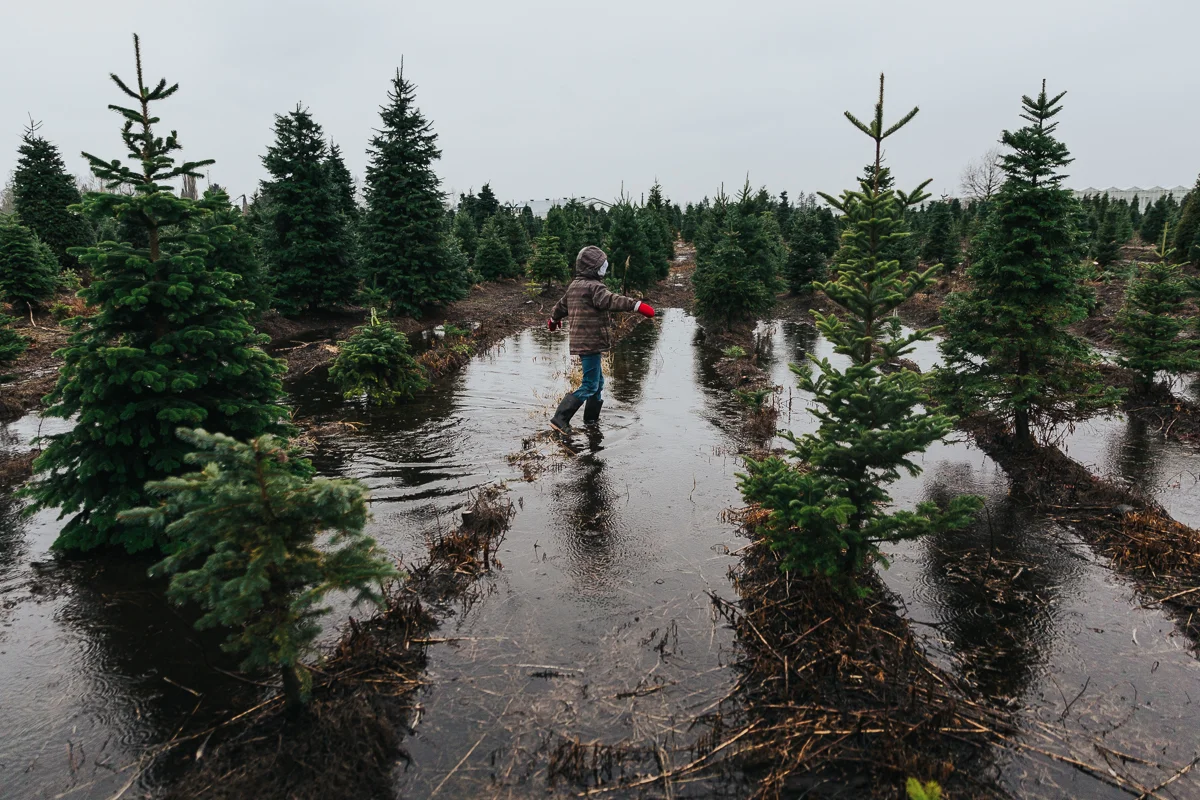 Mike Esther Christmas Traditions Langley Documentary Family Photographer Mimsical Photography