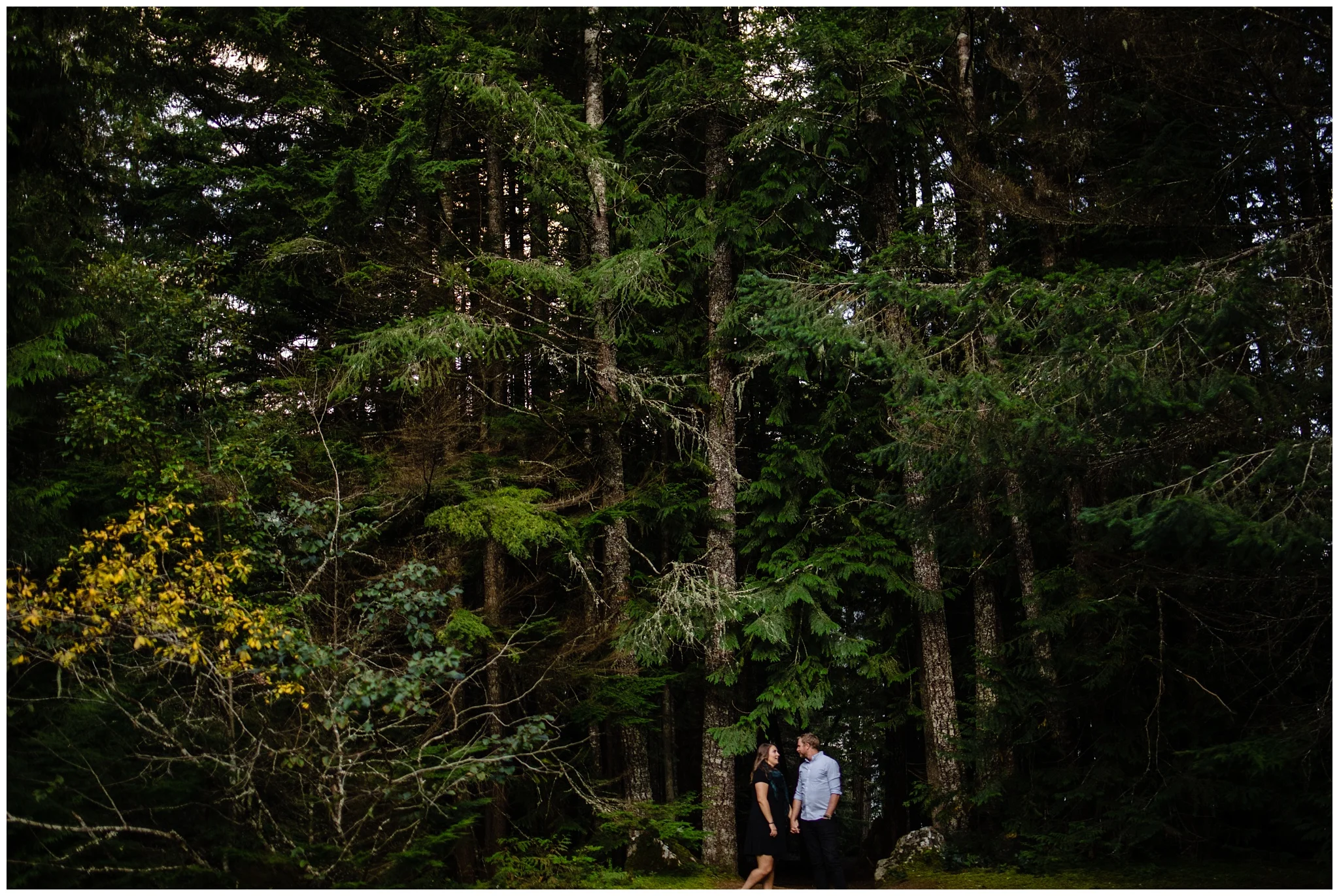 Chilliwack Lake Fall Engagement Photo Inspiration Poses Chilliwack Engagement Photographer_0017.jpg