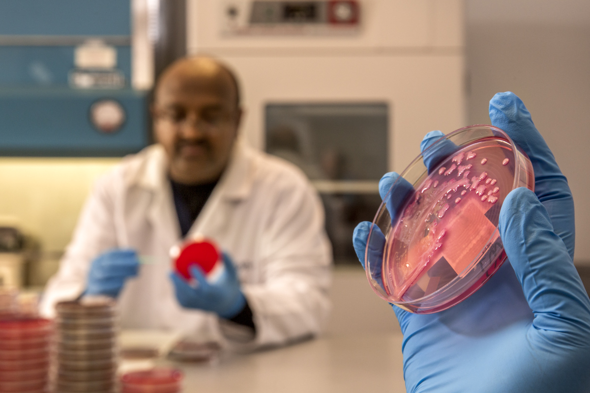 Microbiology Lab