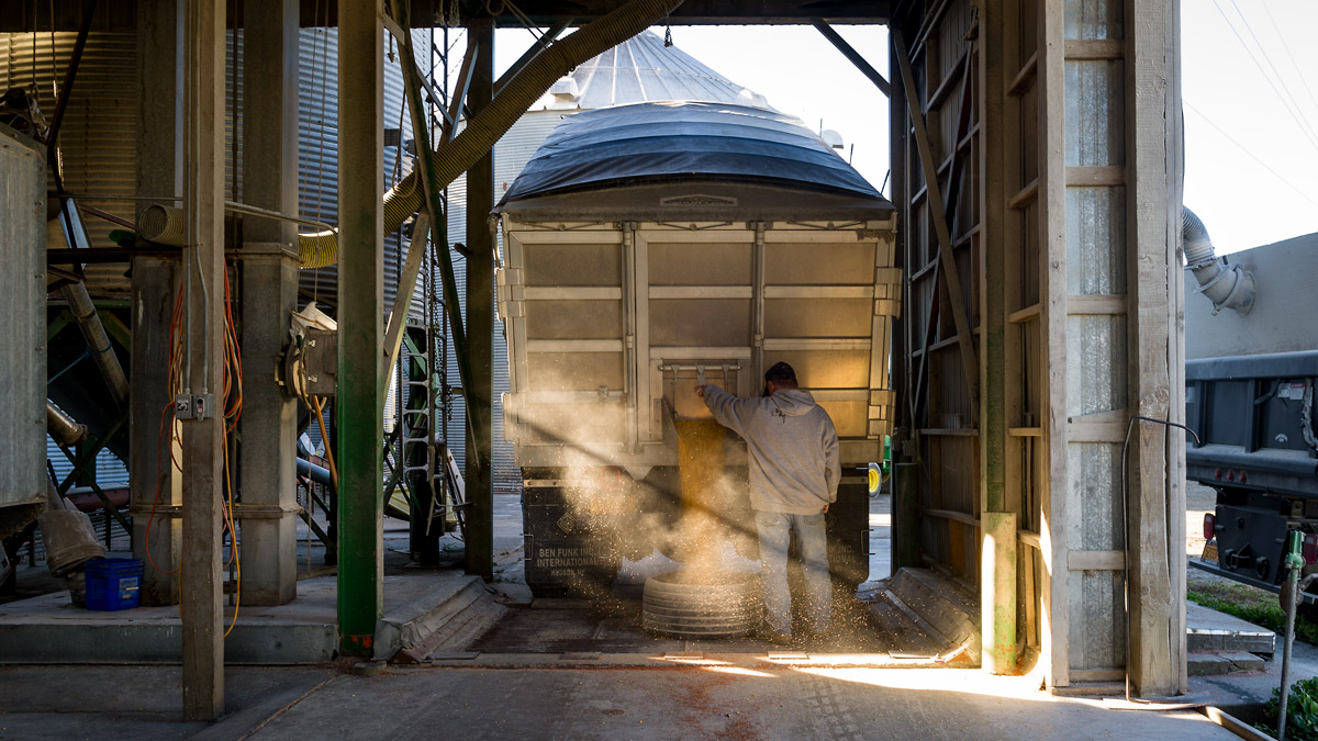 corn-drying-Nov-4-2016-9.jpg