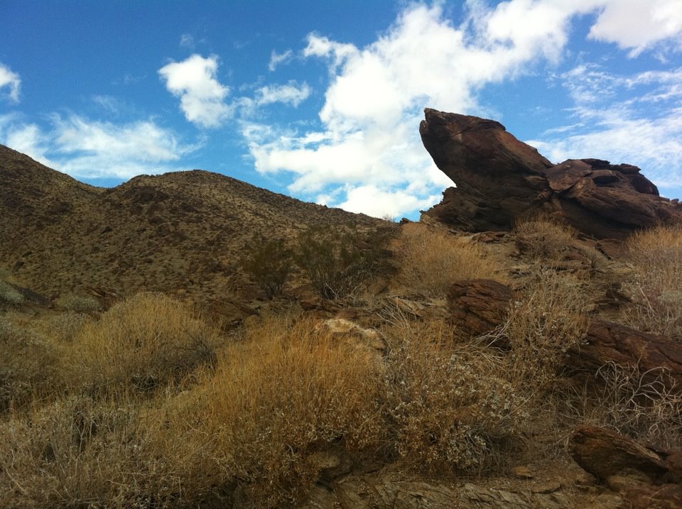 Palm Spring Hiking.jpg