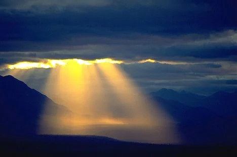 This Is Not Your Forever