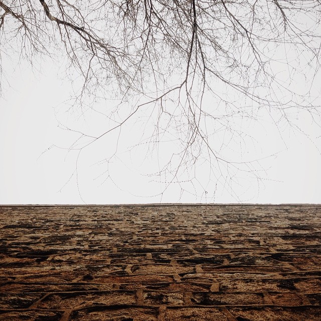 Vulnerability Sucks--But It's Worth It