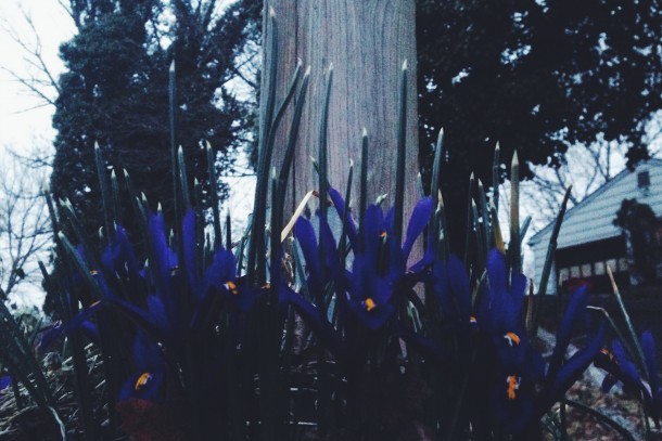 I'm Not Saving Myself