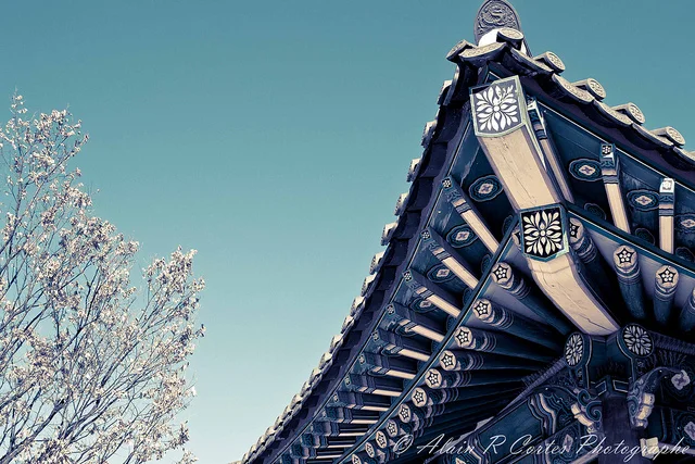 #LiveTogether: (Not So) Great Expectations