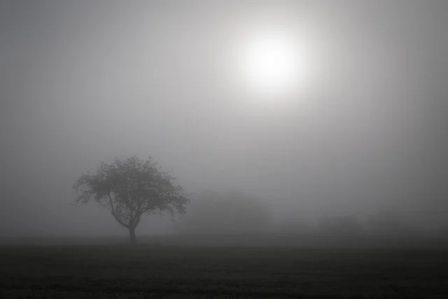 Anxiety Is For Weak People