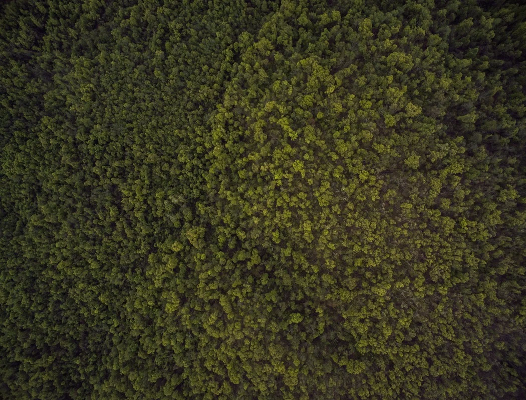 What If I'm Not Remarkable?