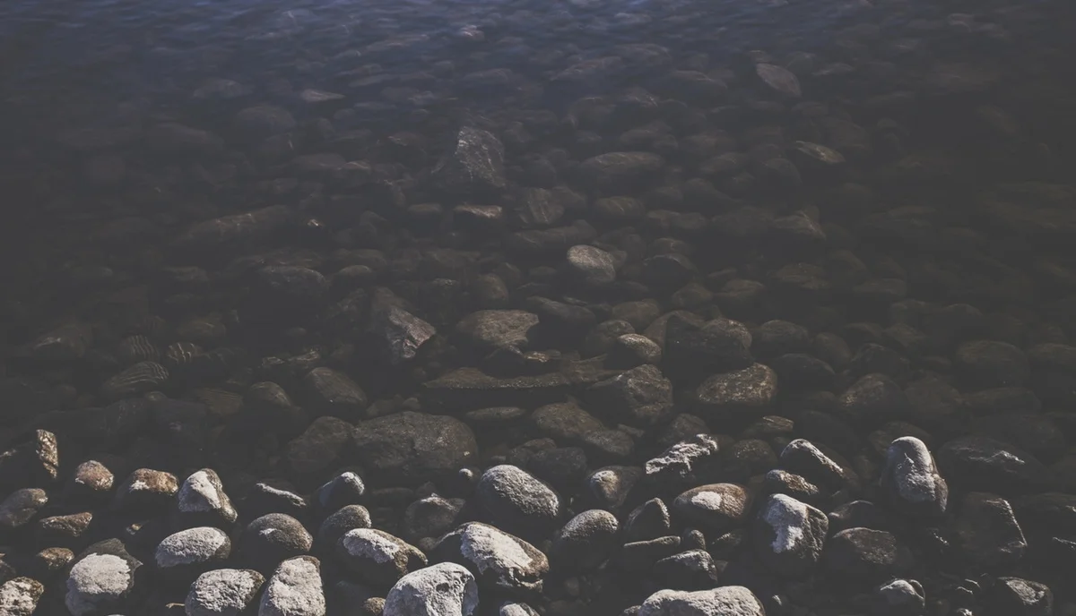 Slow and Steady Wins the Race