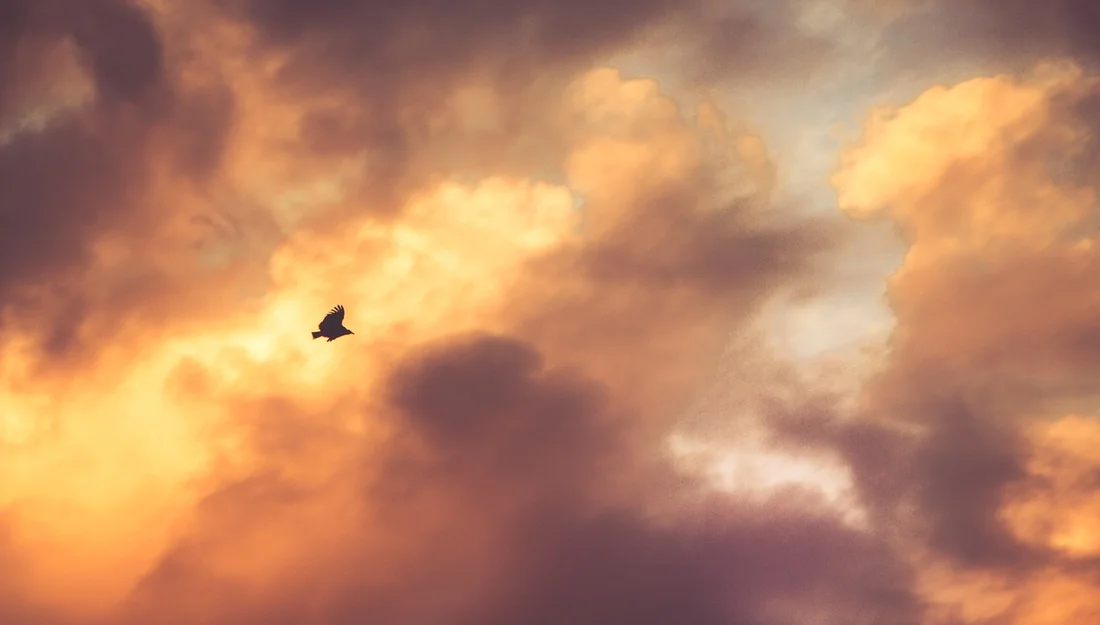 Meet My Friend, Disappointment