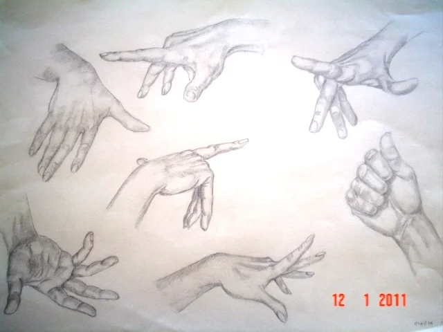 4 studio di mani.jpg