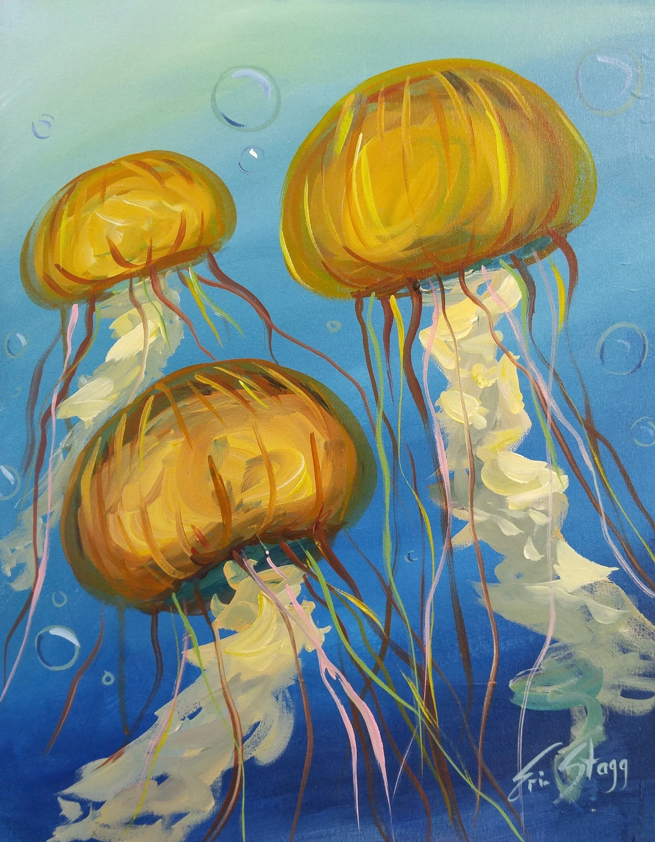 Jellyfish