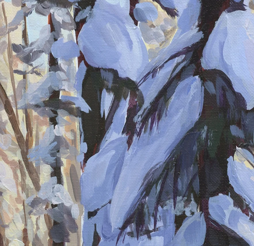 Snowshoeing through the pines - closeup 1.jpg