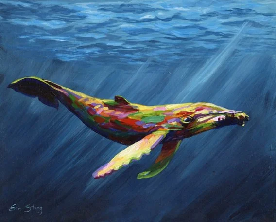 rainbow whale - sm.jpg