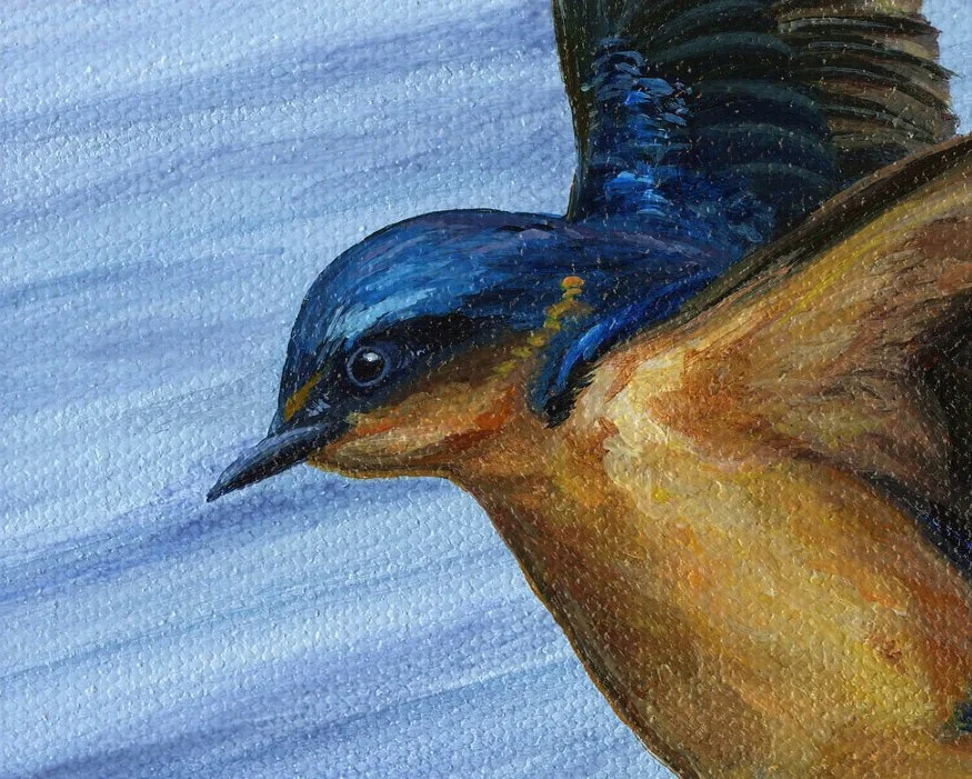 Take Off - closeup 2.jpg