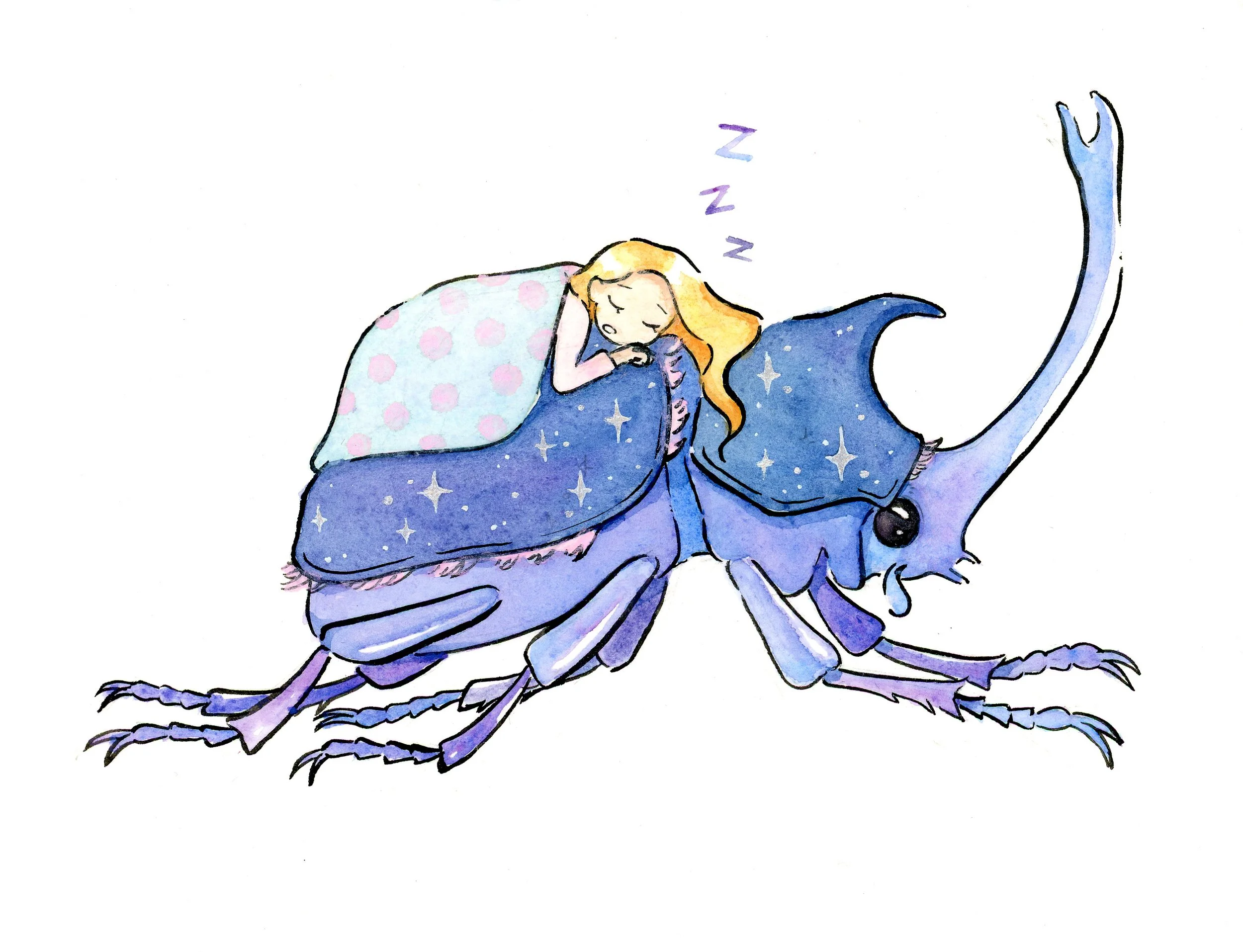Beetle-Edit-Nov2022.jpg