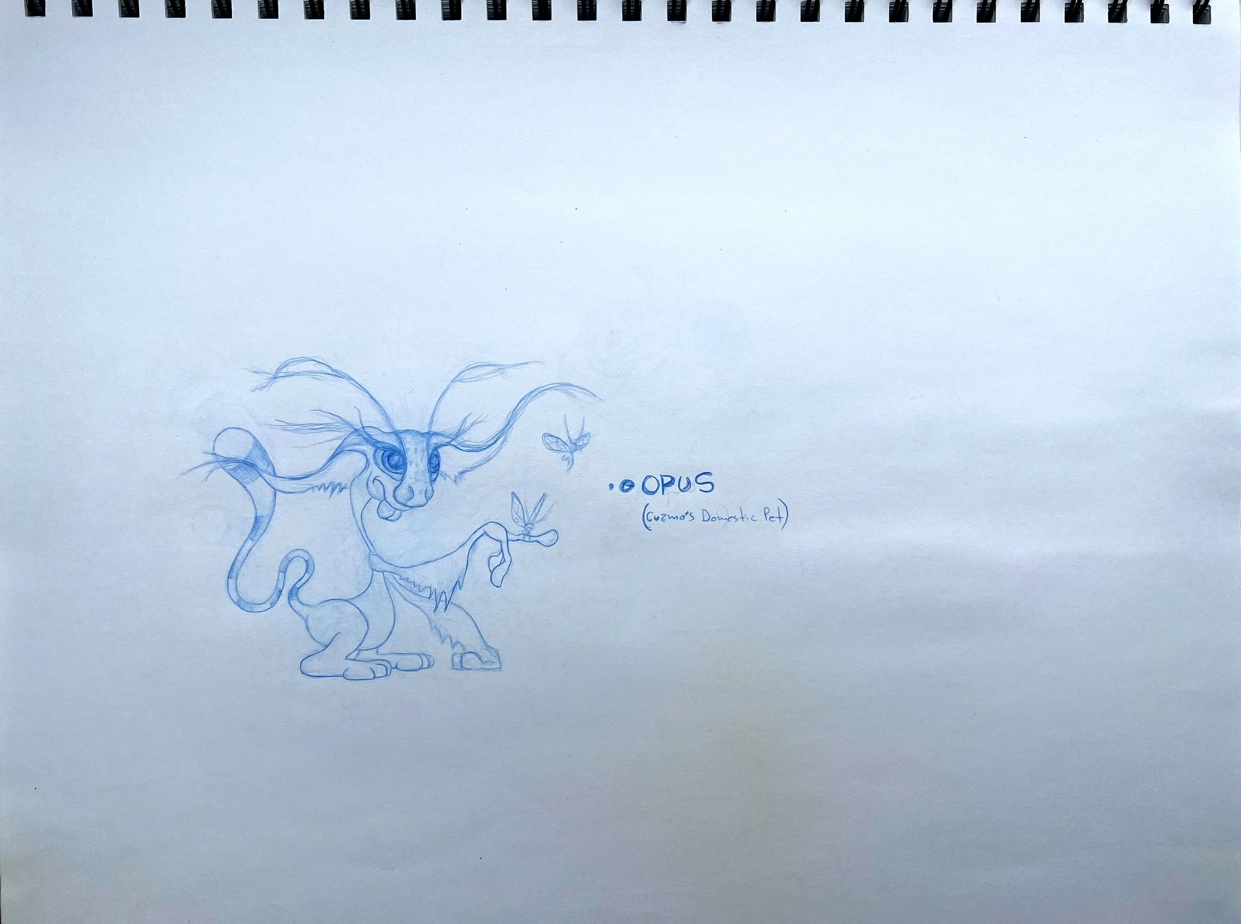 Danny Ciampa  www.oracleodyssey.com 5 IMG_9043.JPG