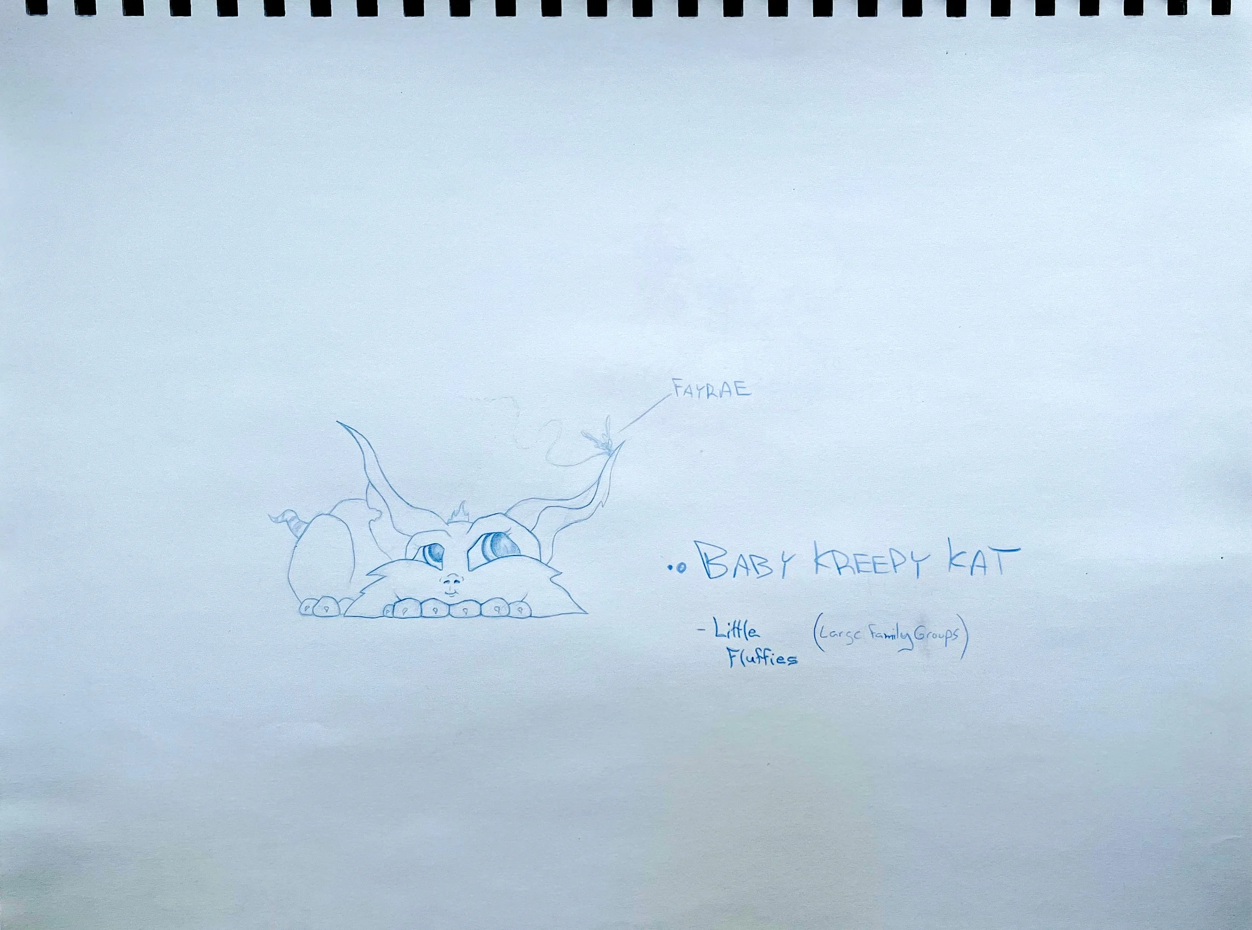 Danny Ciampa  www.oracleodyssey.com IMG_9046.JPG