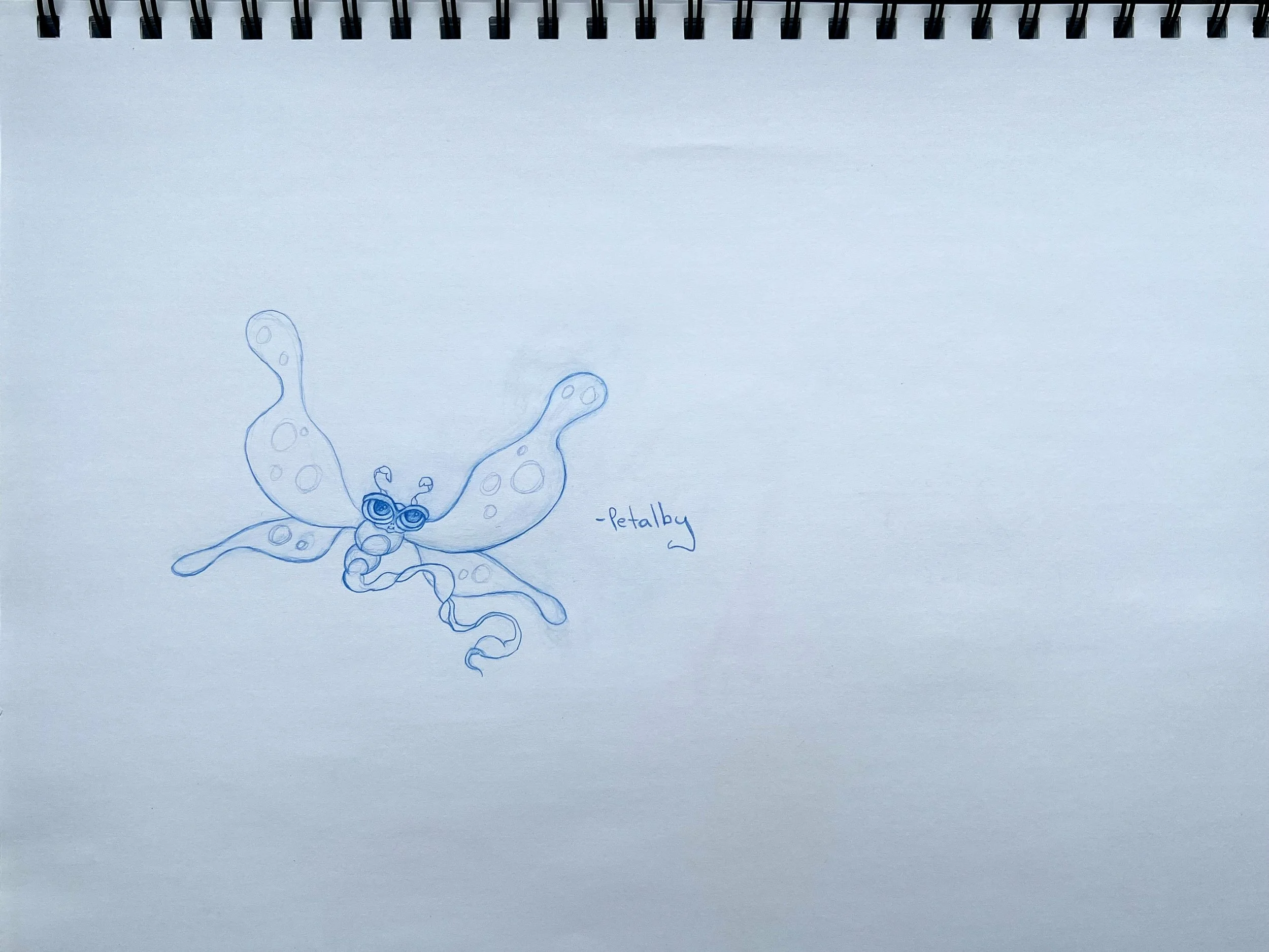 Danny Ciampa  www.oracleodyssey.com IMG_9049.JPG