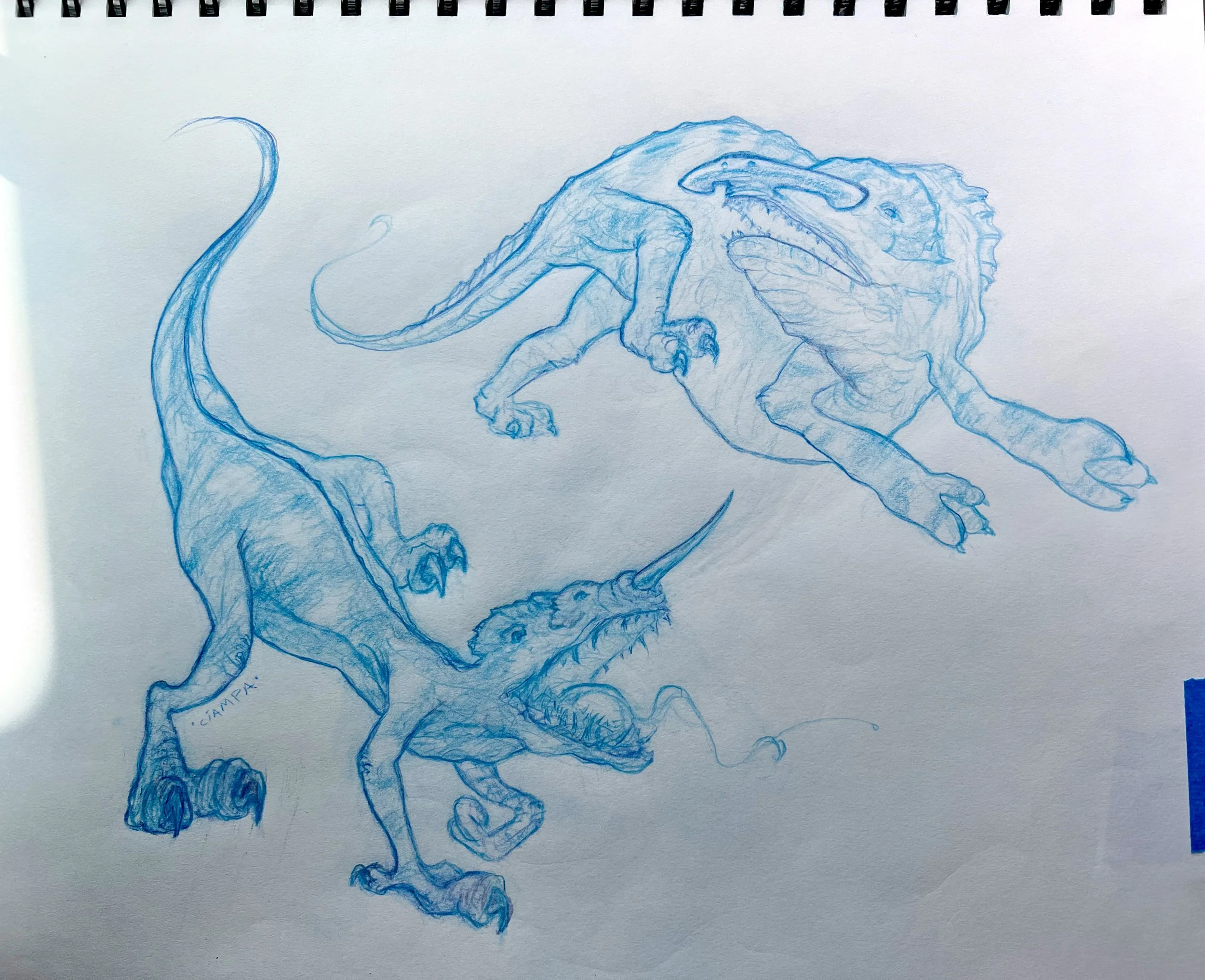 Danny Ciampa  www.oracleodyssey.com 17b    IMG_8597.JPG