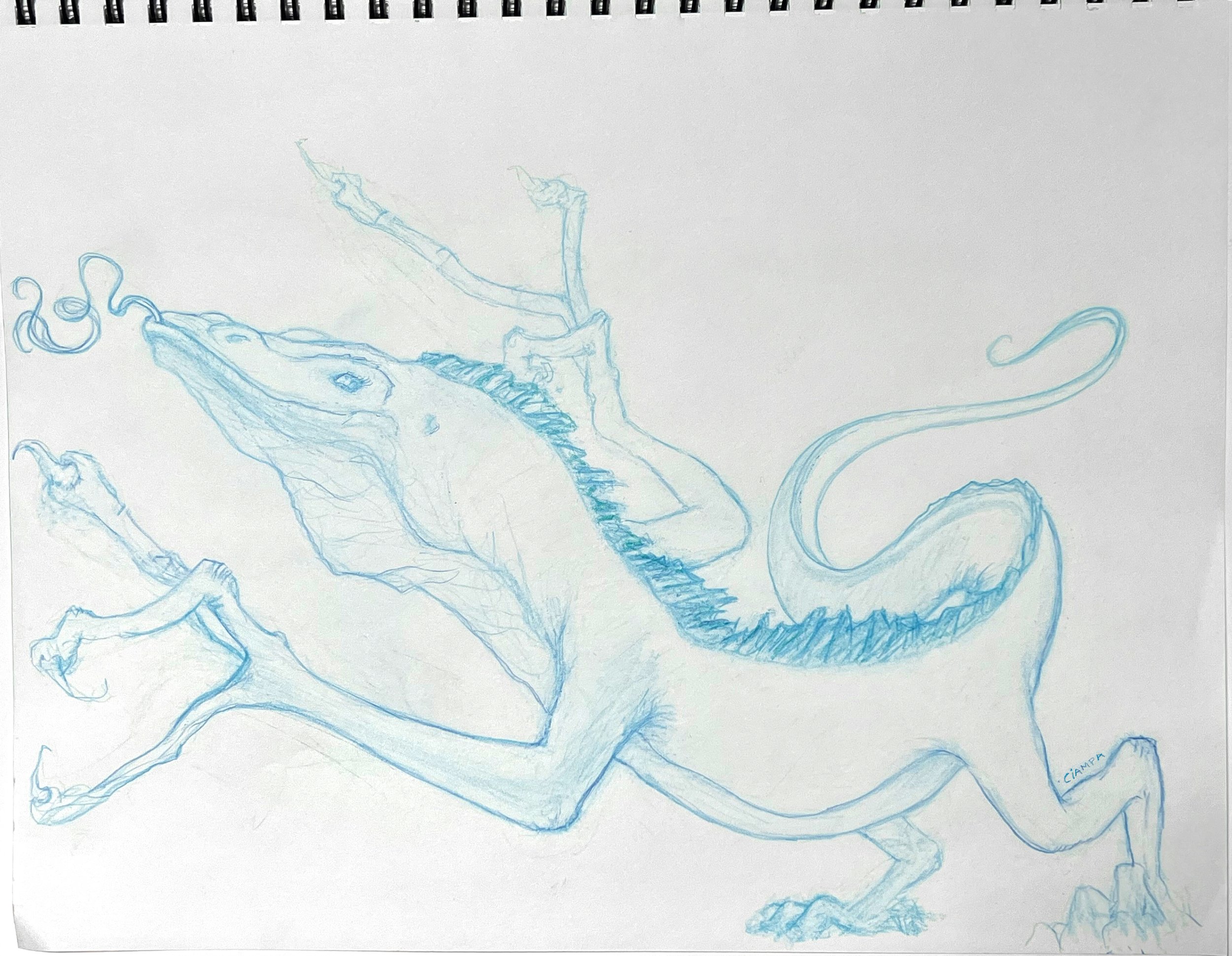 Danny Ciampa  www.oracleodyssey.com 17 IMG_8855b.JPG