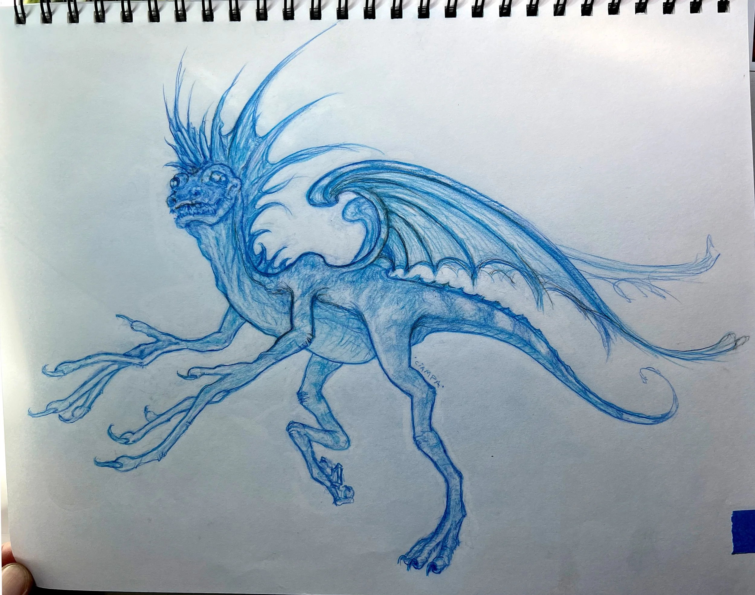 Danny Ciampa  www.oracleodyssey.com IMG_8607.JPG