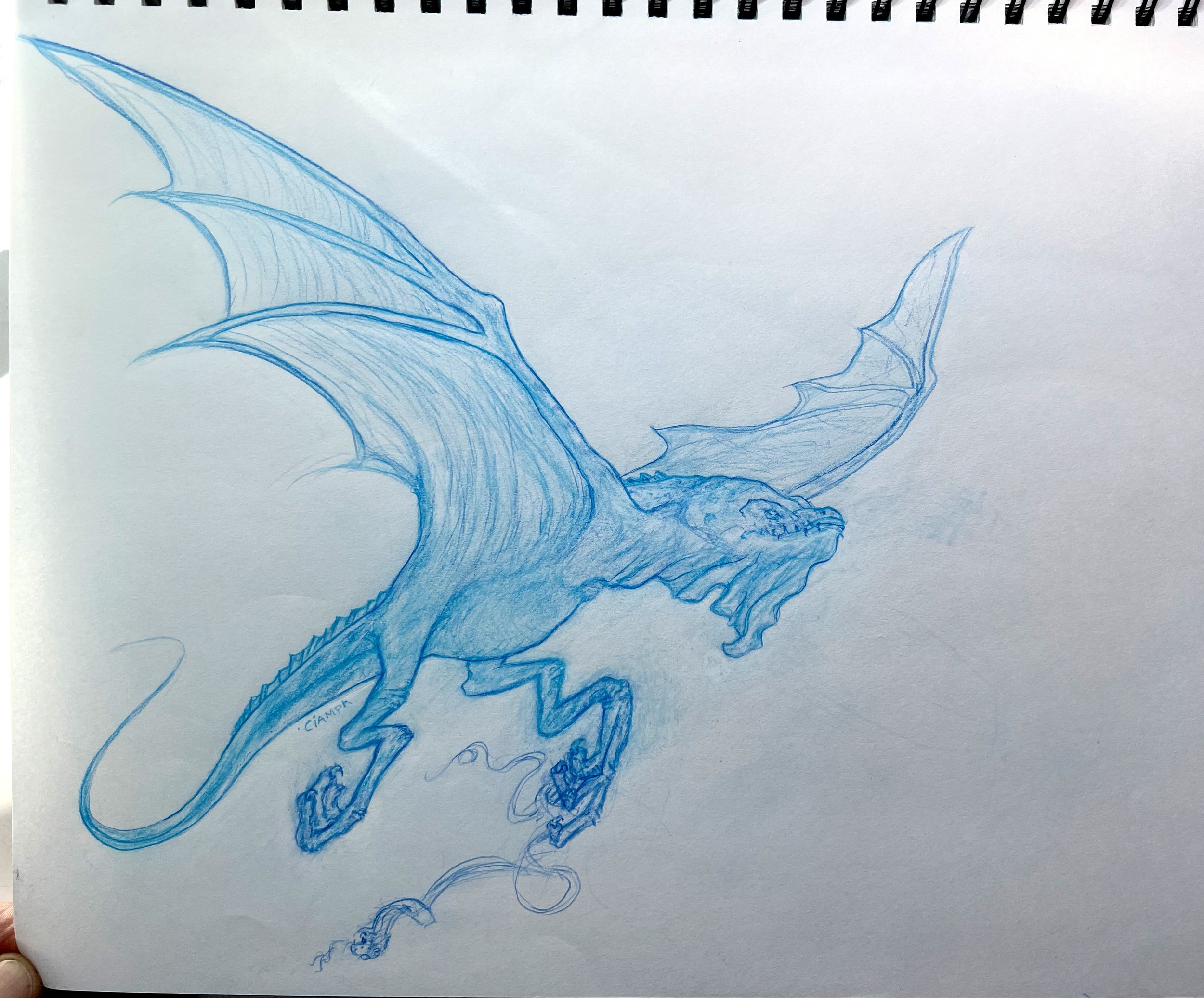 Danny Ciampa  www.oracleodyssey.com IMG_8606.JPG