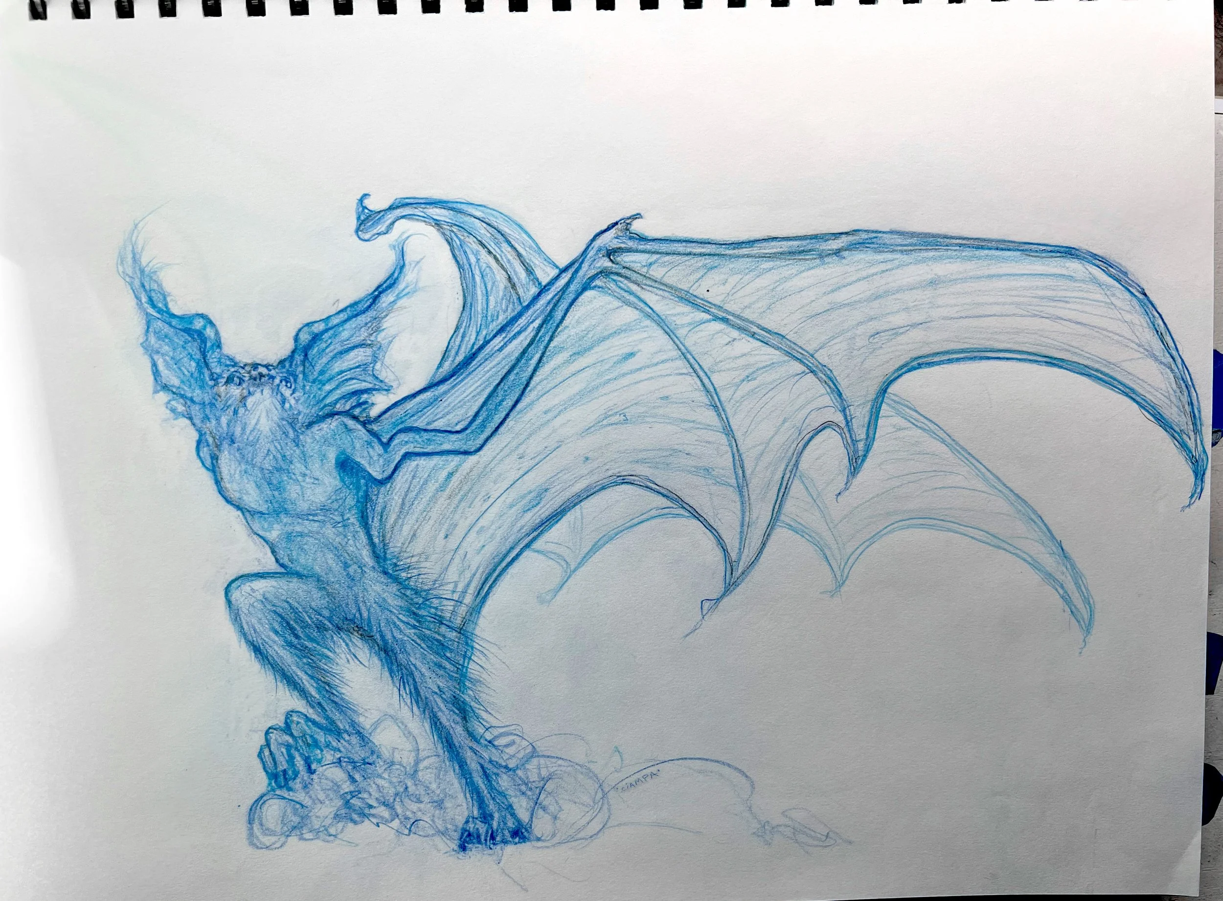 Danny Ciampa  www.oracleodyssey.com IMG_8604.JPG