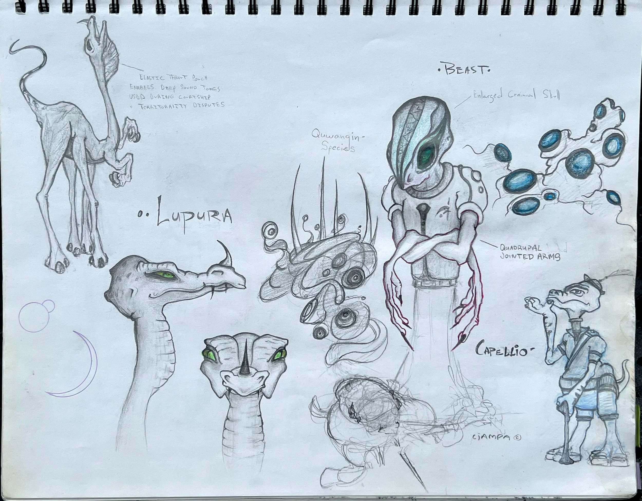 Danny Ciampa  www.oracleodyssey.com IMG_8720ccc.JPG