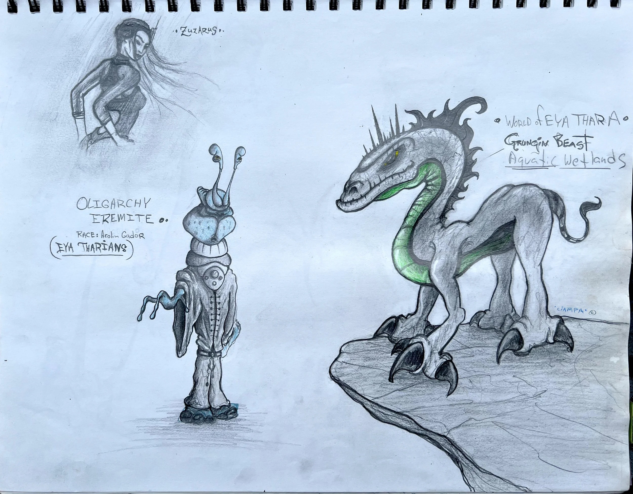 Danny Ciampa  www.oracleodyssey.com IMG_8720cc.JPG