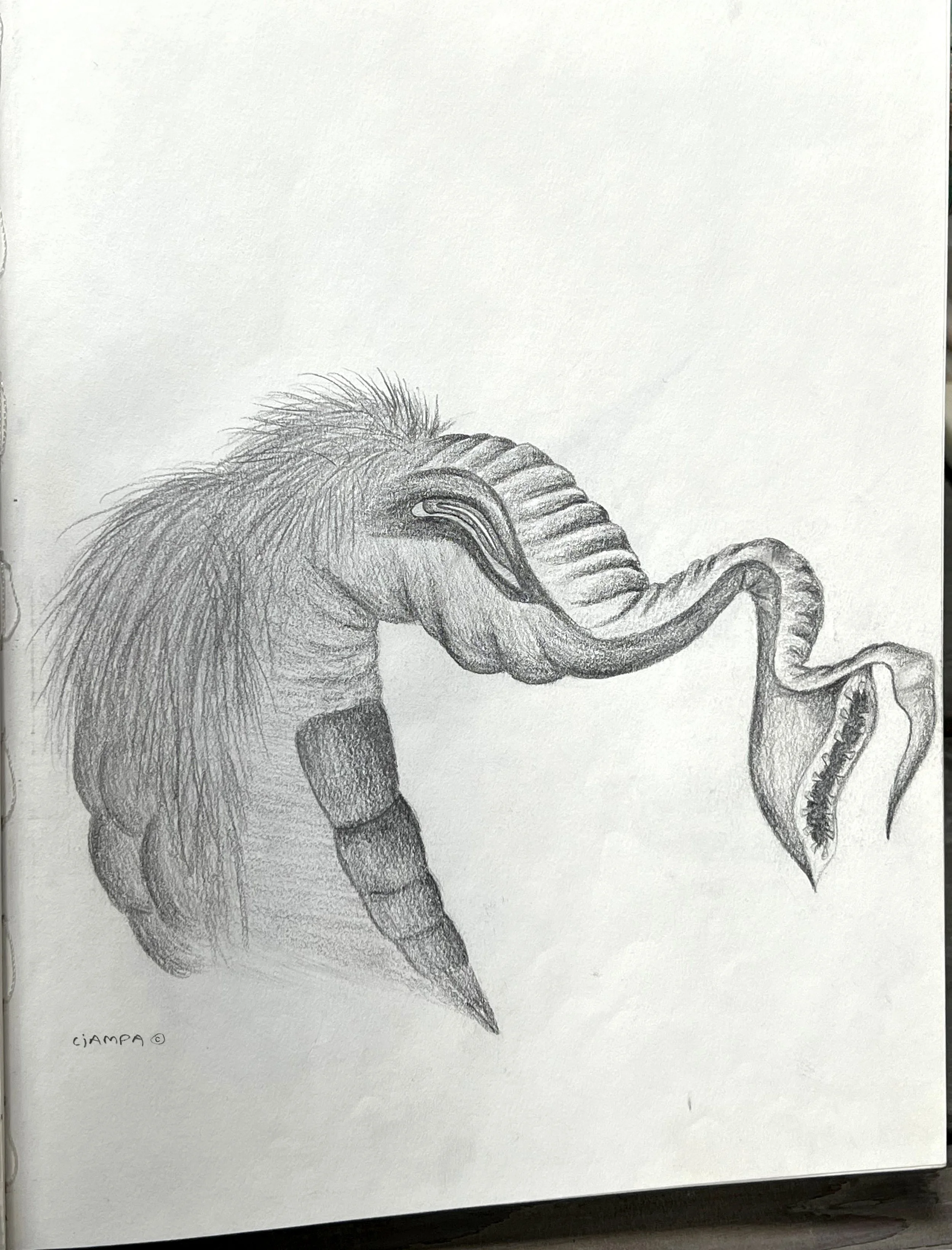 Danny Ciampa  www.oracleodyssey.com IMG_8741.JPG