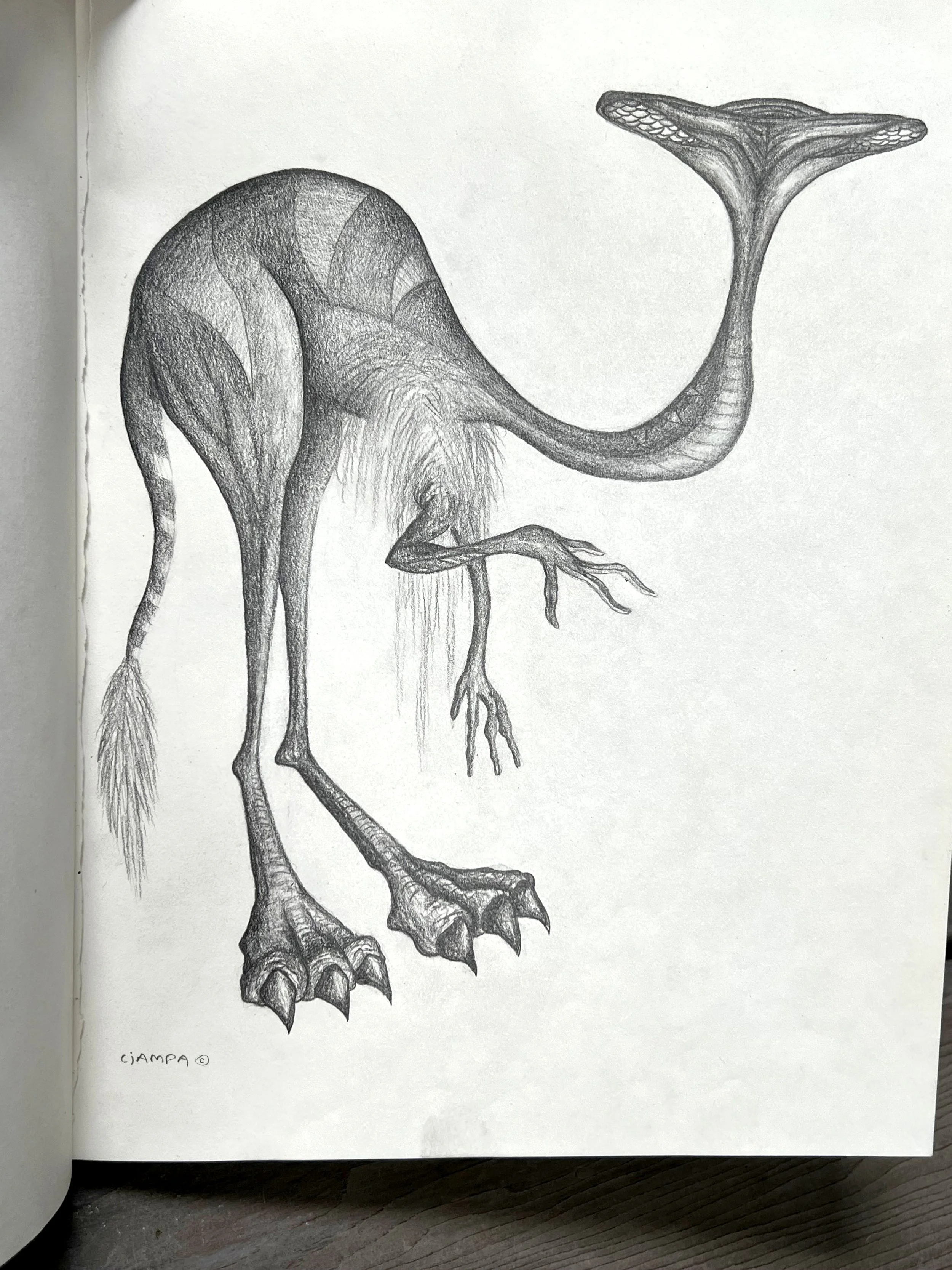 Danny Ciampa  www.oracleodyssey.com IMG_8743.JPG