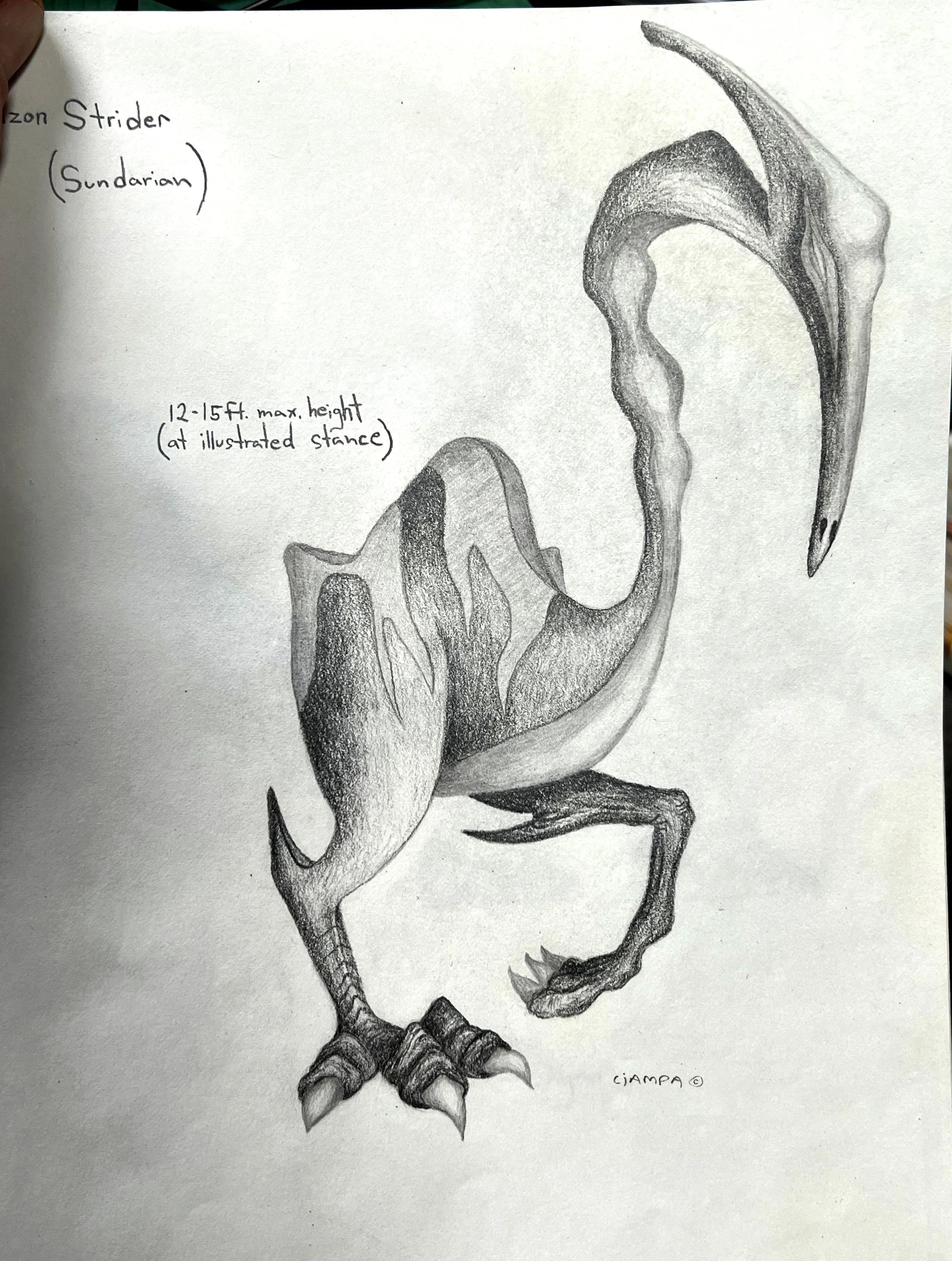 Danny Ciampa  www.oracleodyssey.com IMG_8752bb.JPG