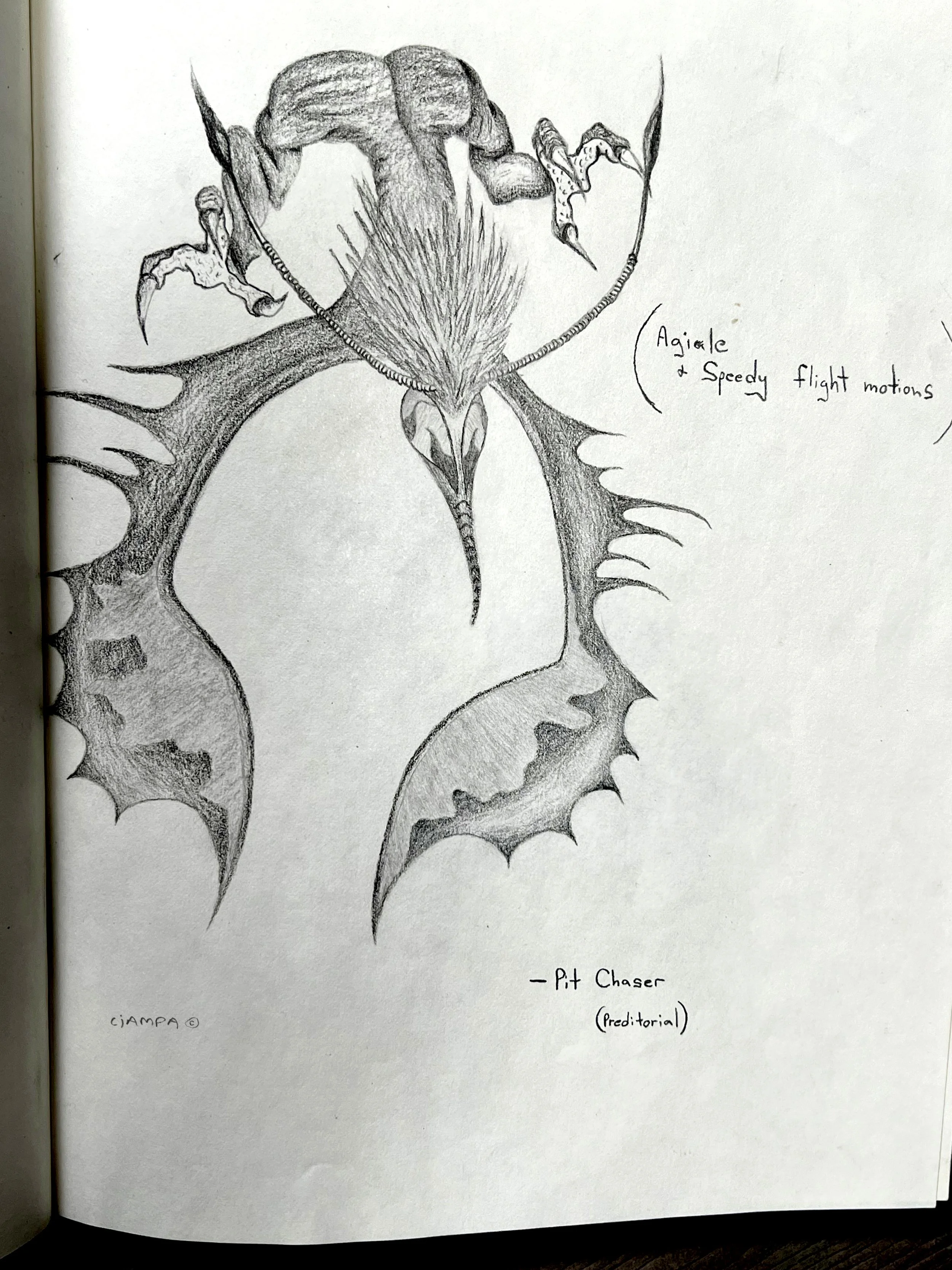 Danny Ciampa  www.oracleodyssey.com IMG_8757b.JPG