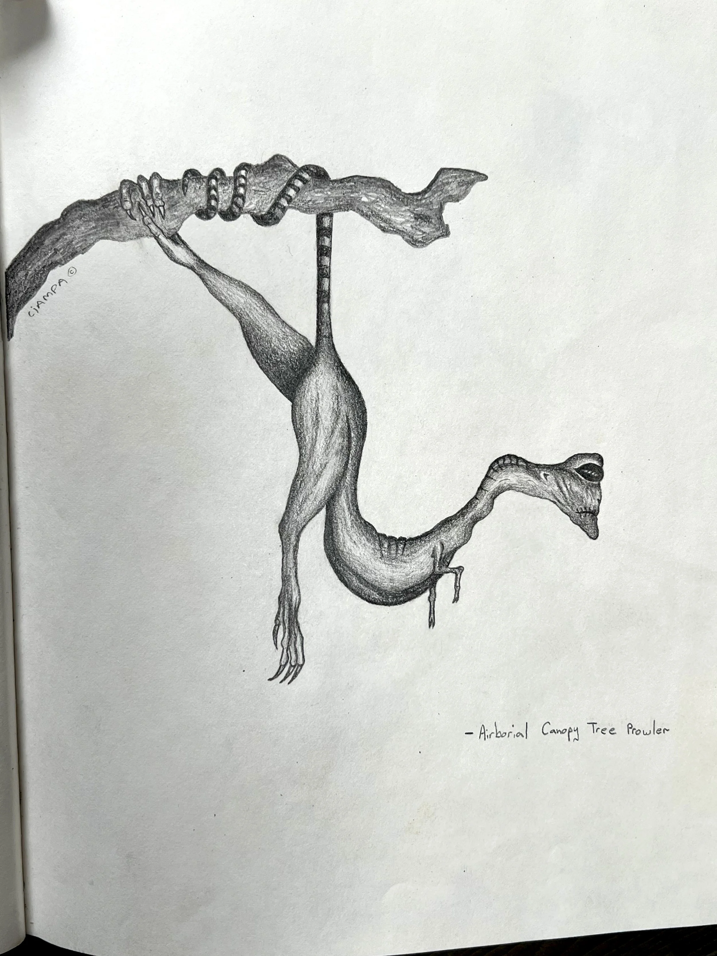 Danny Ciampa  www.oracleodyssey.com IMG_8756.JPG