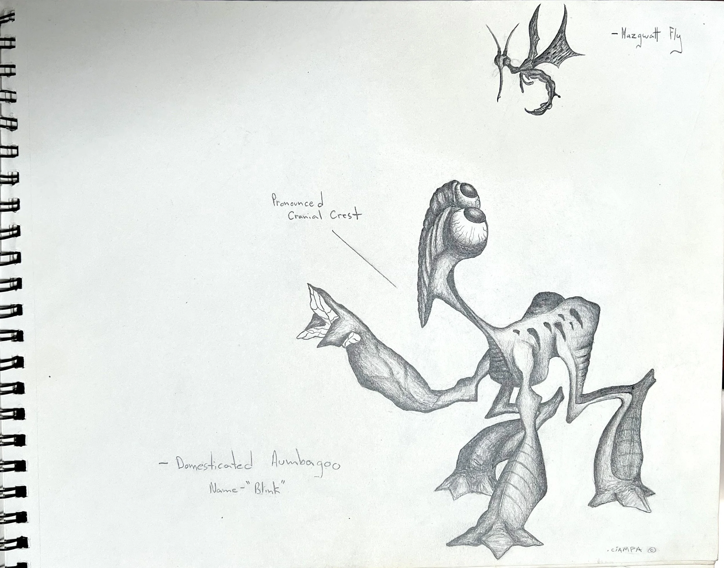 Danny Ciampa  www.oracleodyssey.com IMG_8812 2.JPG